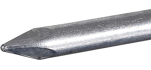 The Hillman Group 42041 Galvanized Roofing Nails, 1-Inch, 100 Count (Pack of 1)