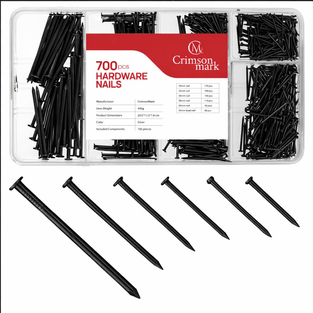 Nails Assortment Kit