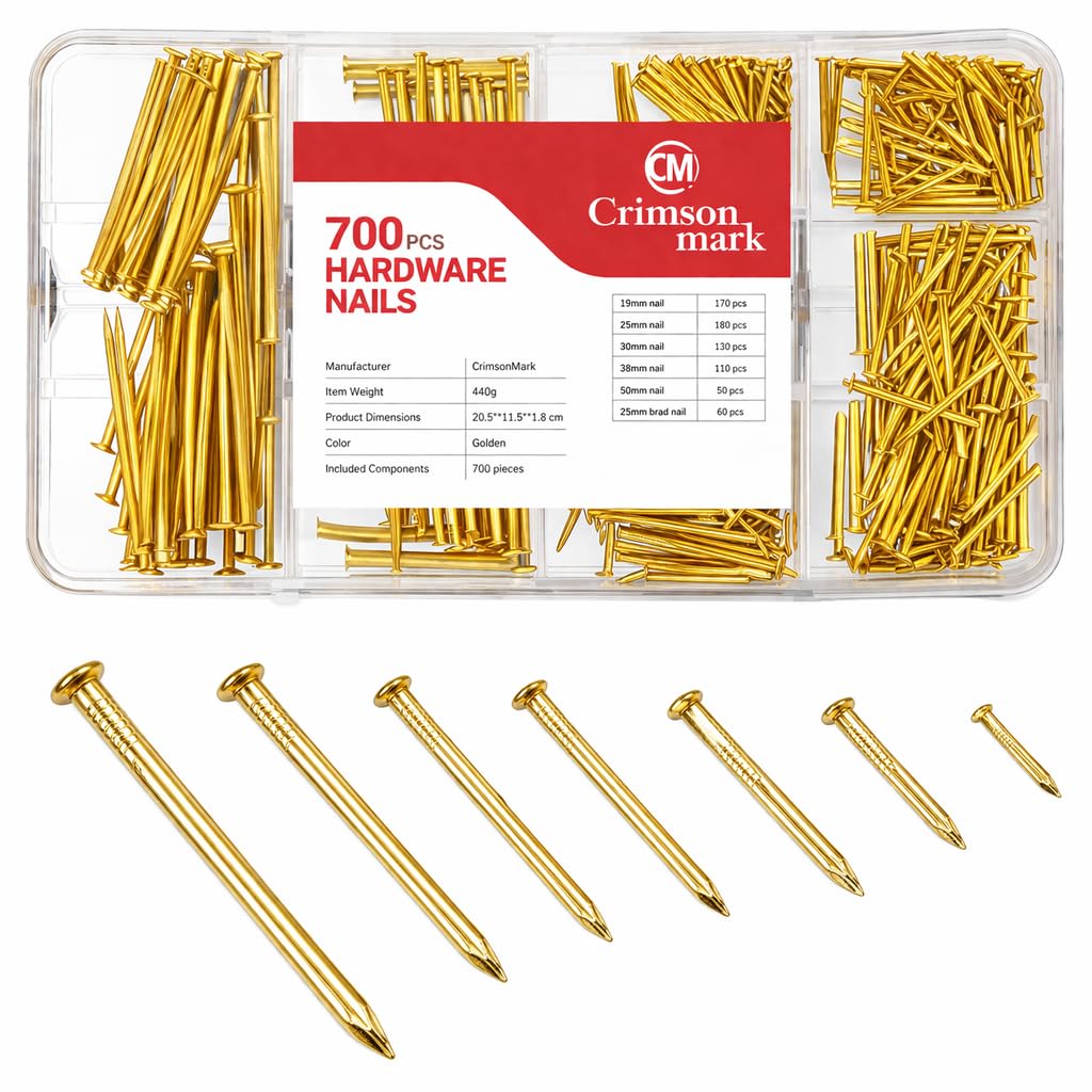 Nails Assortment Kit for Wood and Home Repairs
